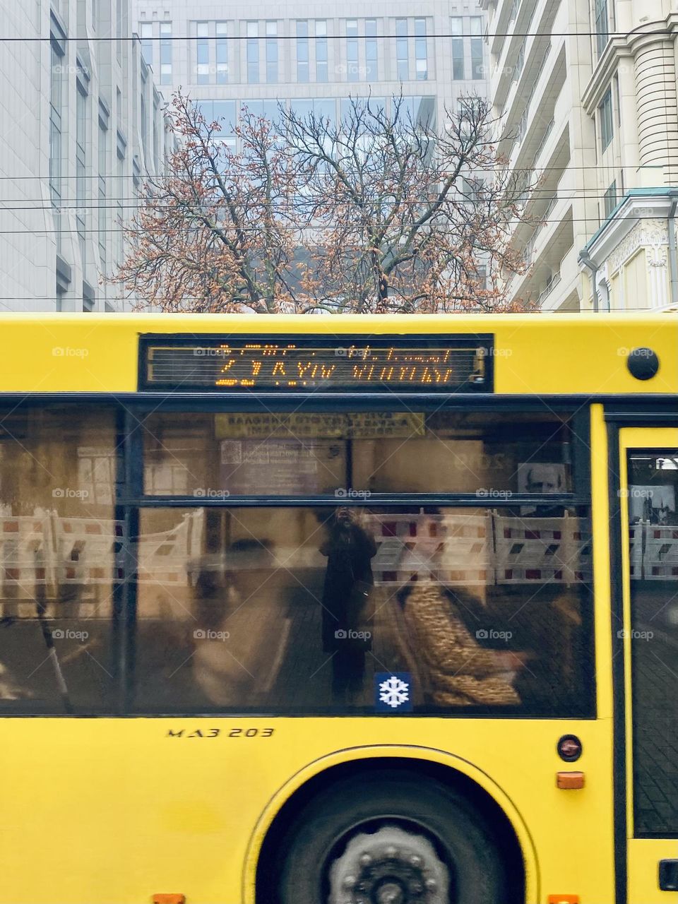 Yellow bus on the street 