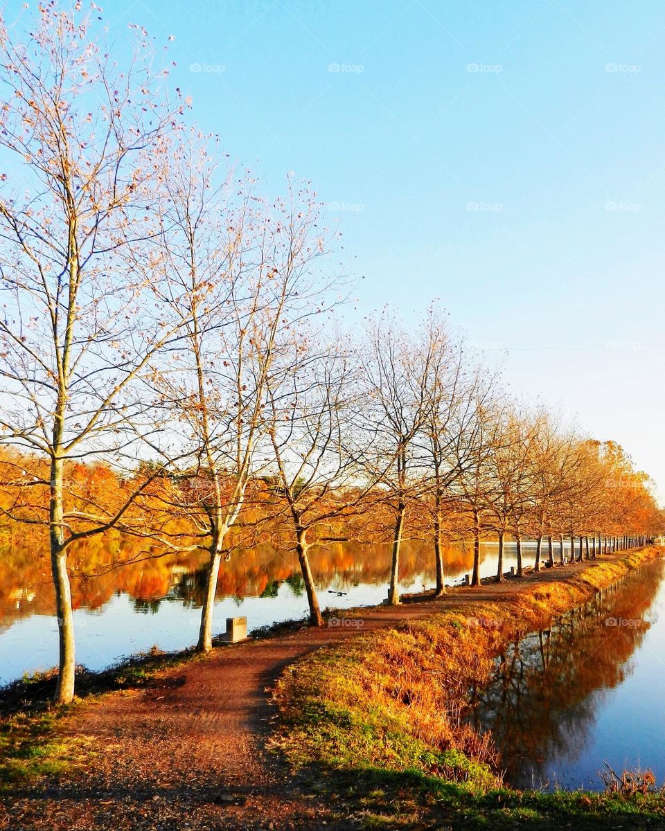 Autumn lake