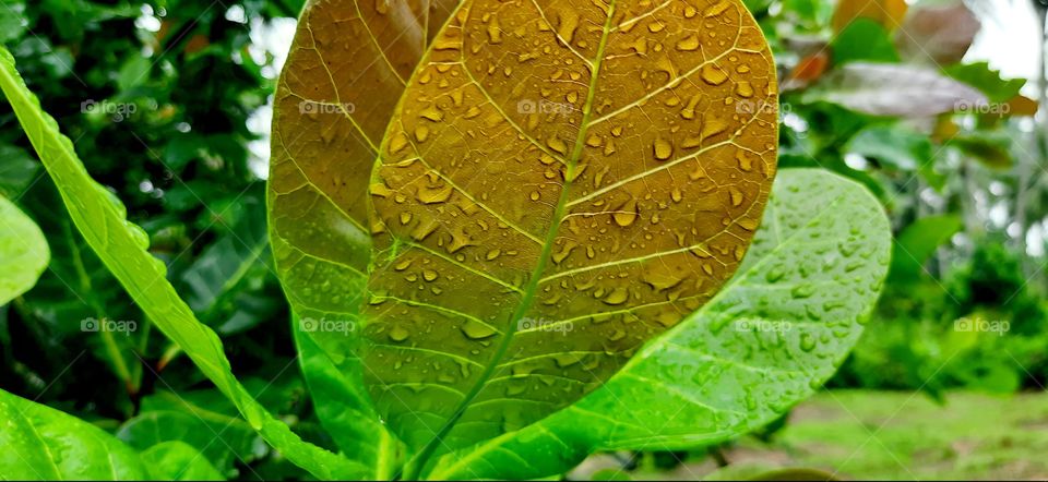 colour of beautiful nature🌄