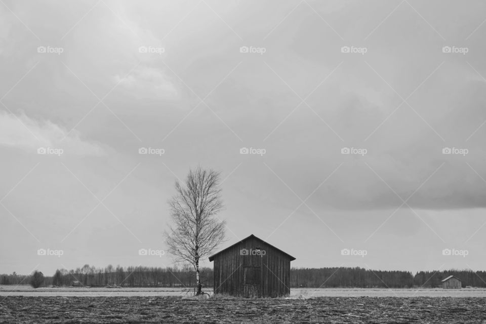 Lonely barn