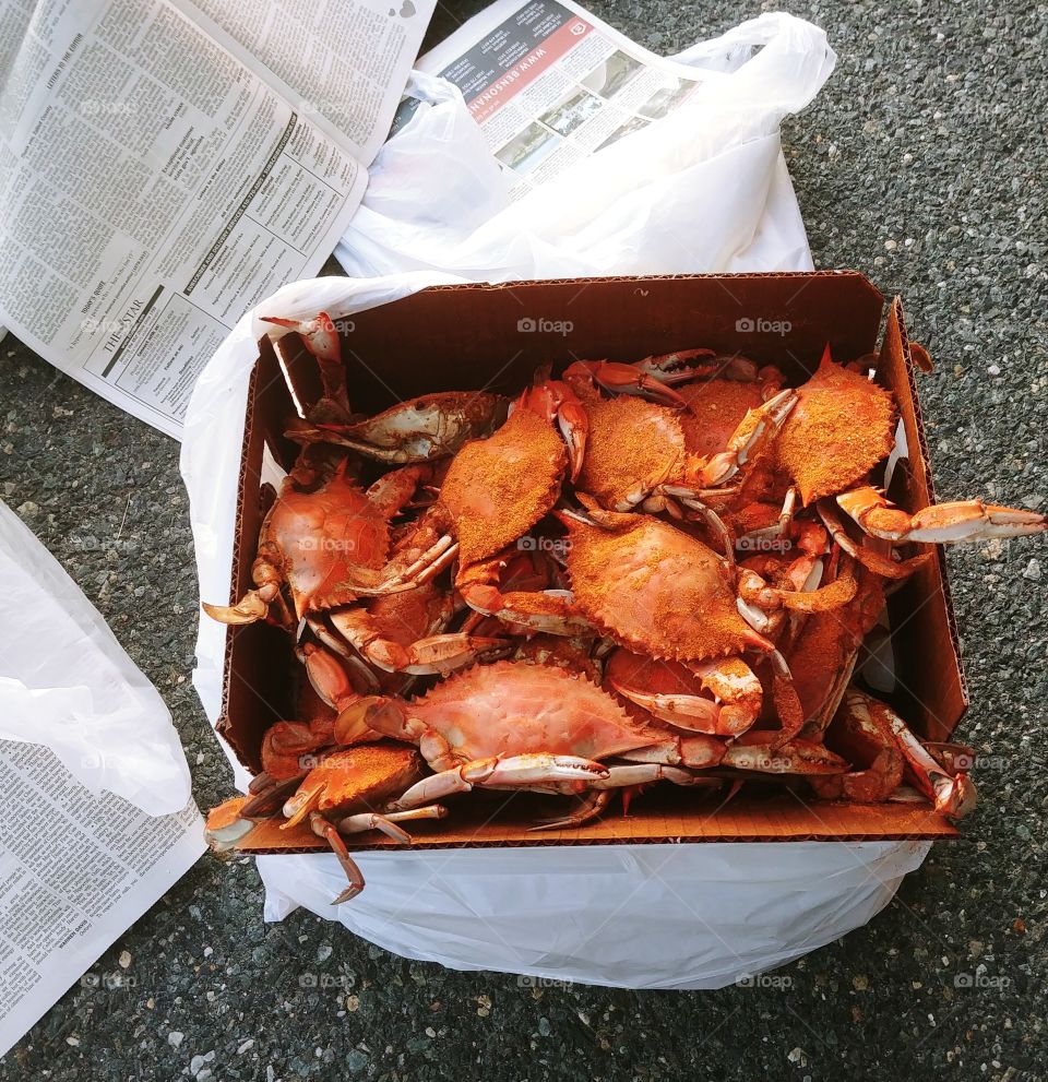Steamed Maryland Blue Crabs in Box