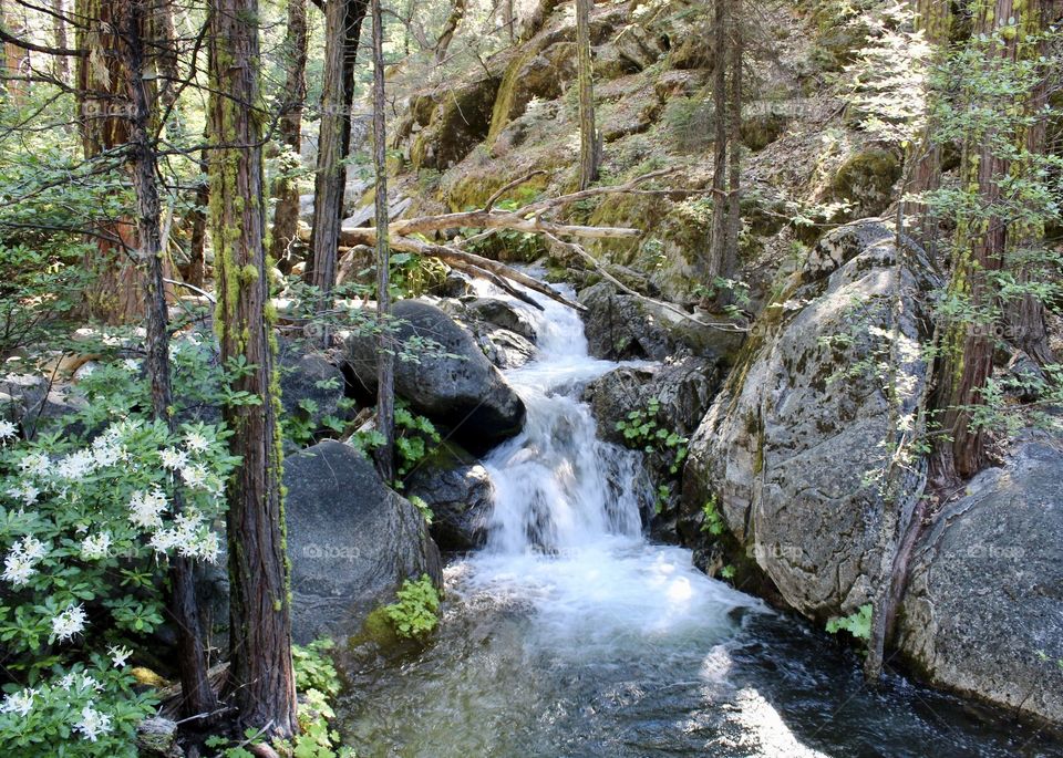 Mountain stream-waterfall 