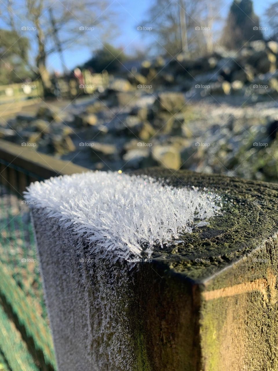 Ice carpet on fence 