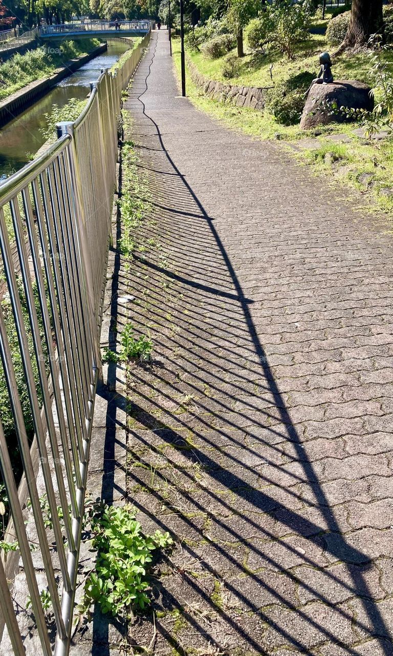 Shadow of irrigation canal fence