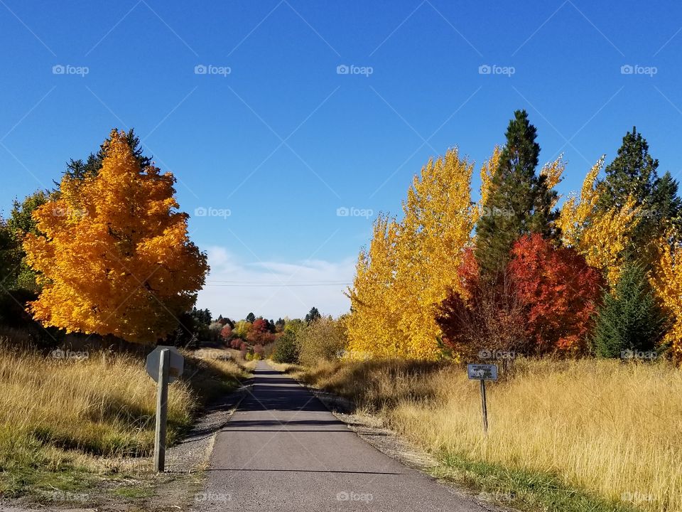 fall trail