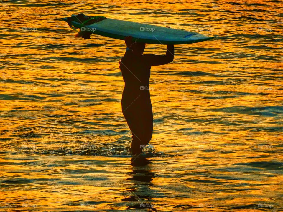 Surfer Girl. Woman Entering The Water At Sunset With A Surfboard
