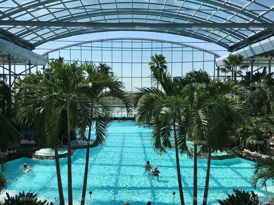 Tropical pool 
