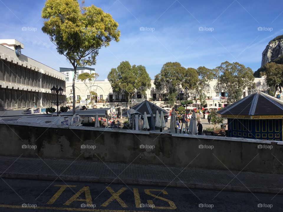 Trees/ taxis- outdoor- sky- street 