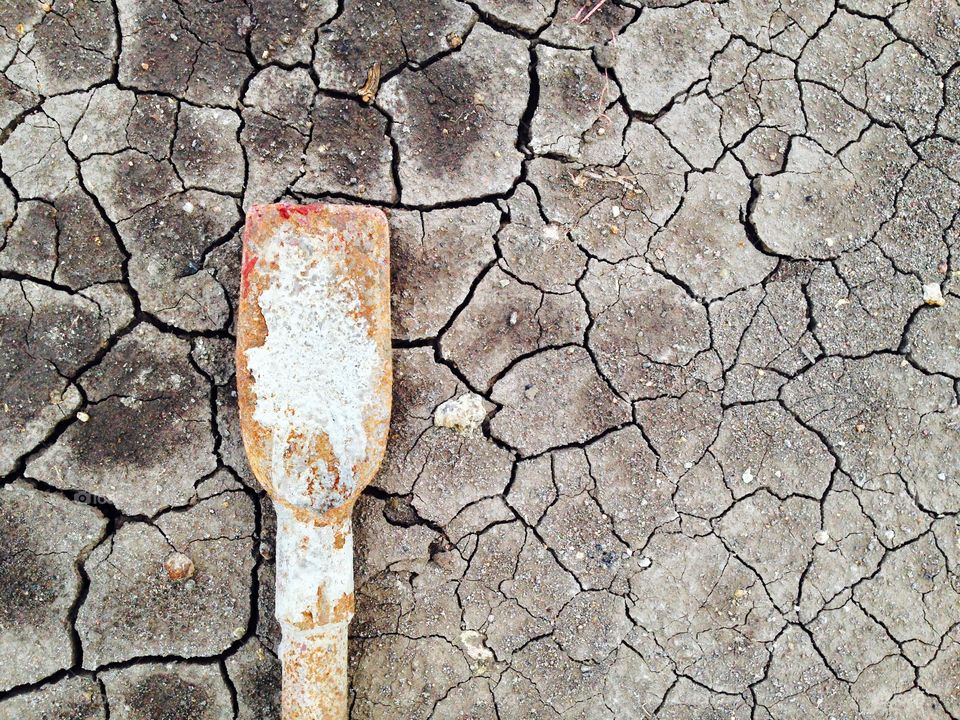 Swarm and broken ground.