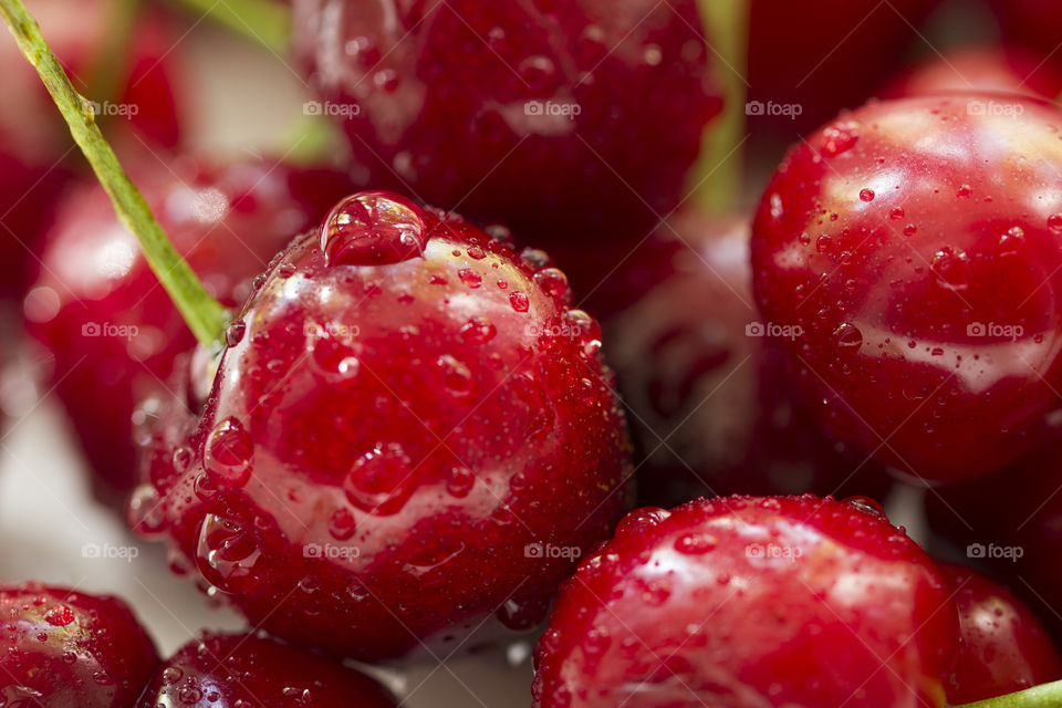 Close up of fresh cherry berries with water drops. summer is season of berries concept!