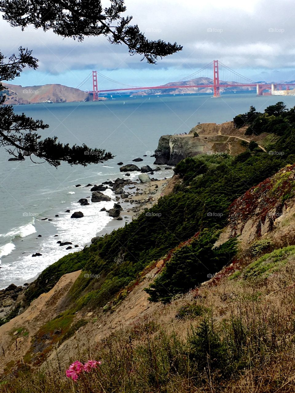 View of Golden Gate Bridge, San Francisco