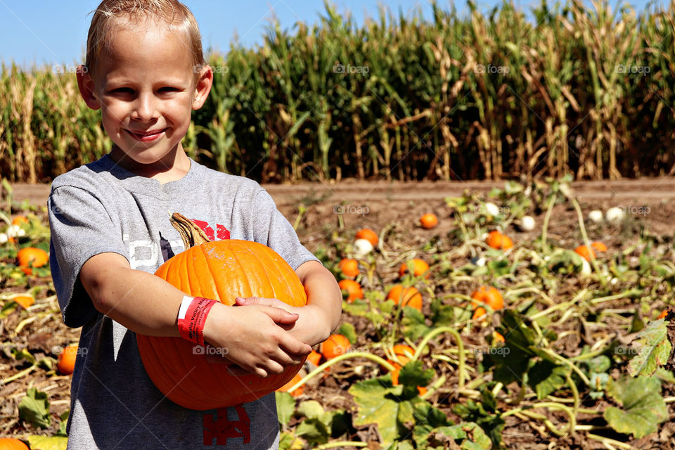 Pumpkins