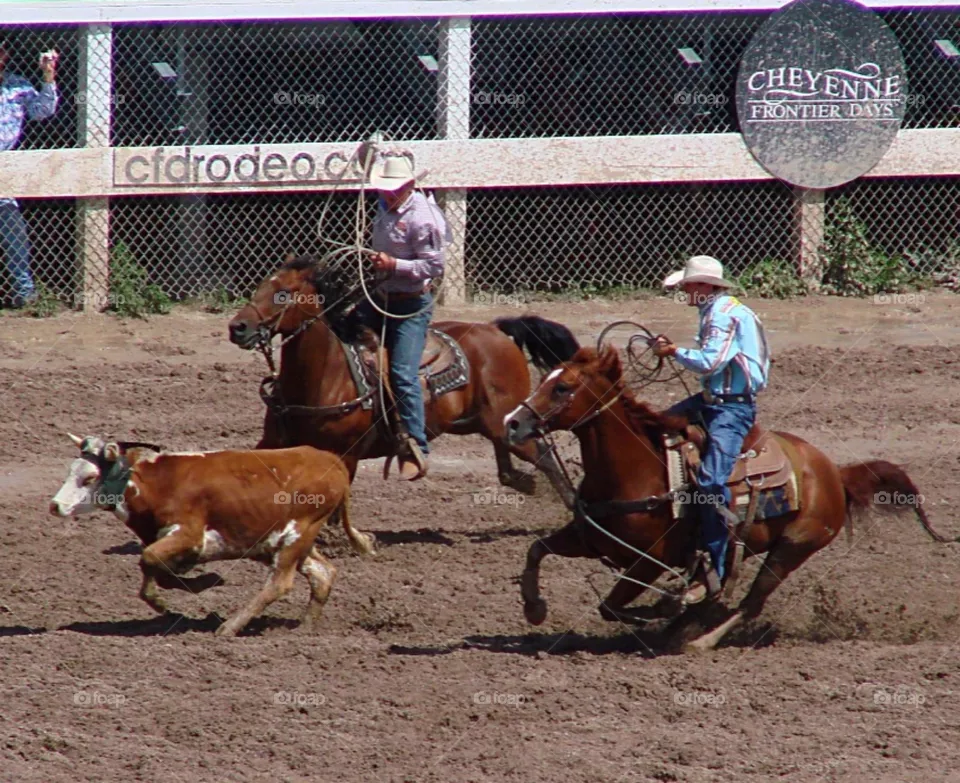 Lasso