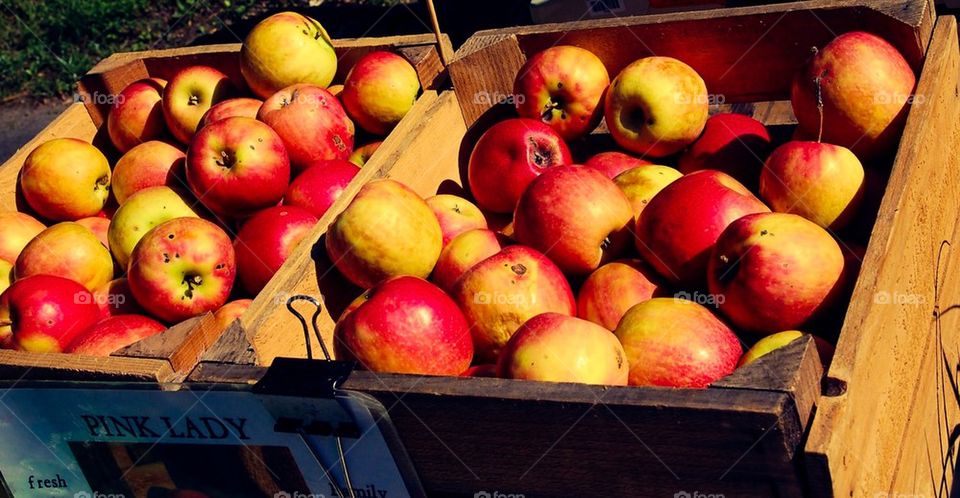 Farmers Market