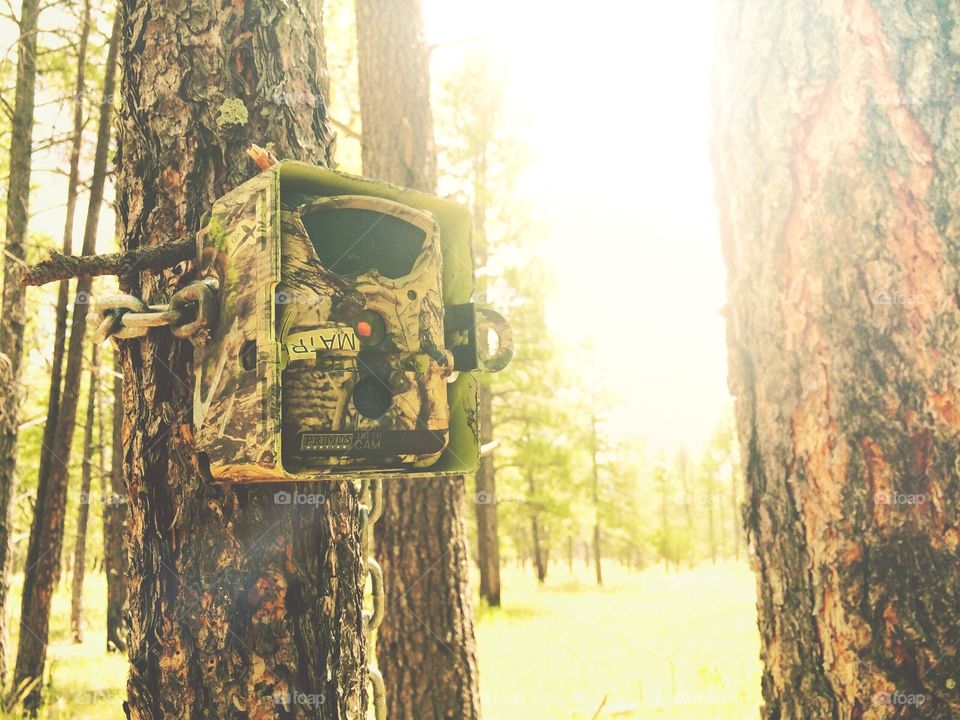 Hunting Camera