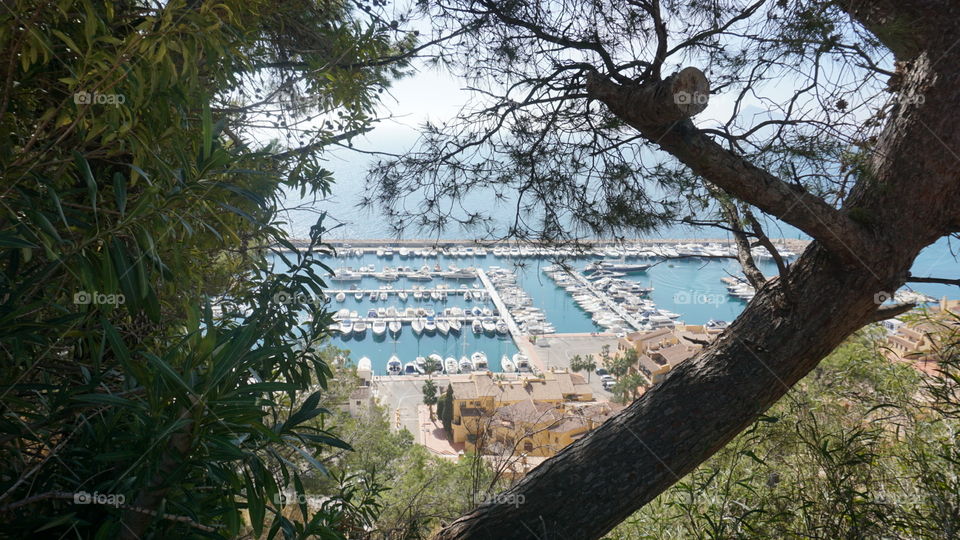 Nature#port#seaview##trees#boats#houses