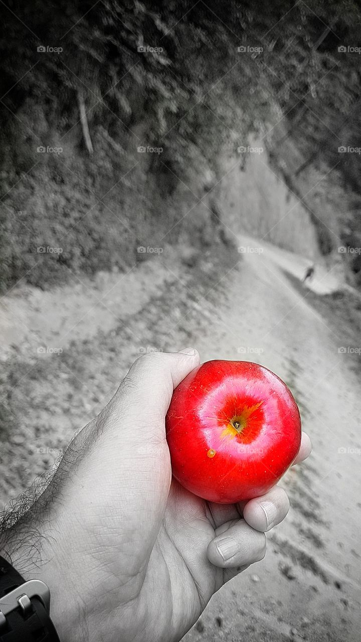 Apple from Afteia Monastery