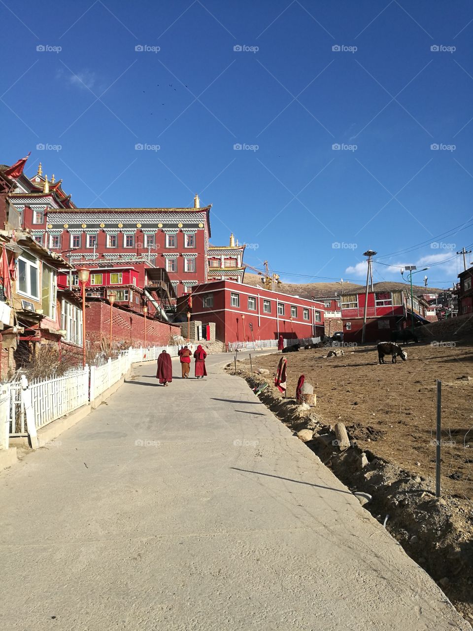 Se Da Buddhist Monastery and School in Sichuan Province, China.

Se Da is currently the largest Tibetan Buddhist school in the world and not open to westerners.