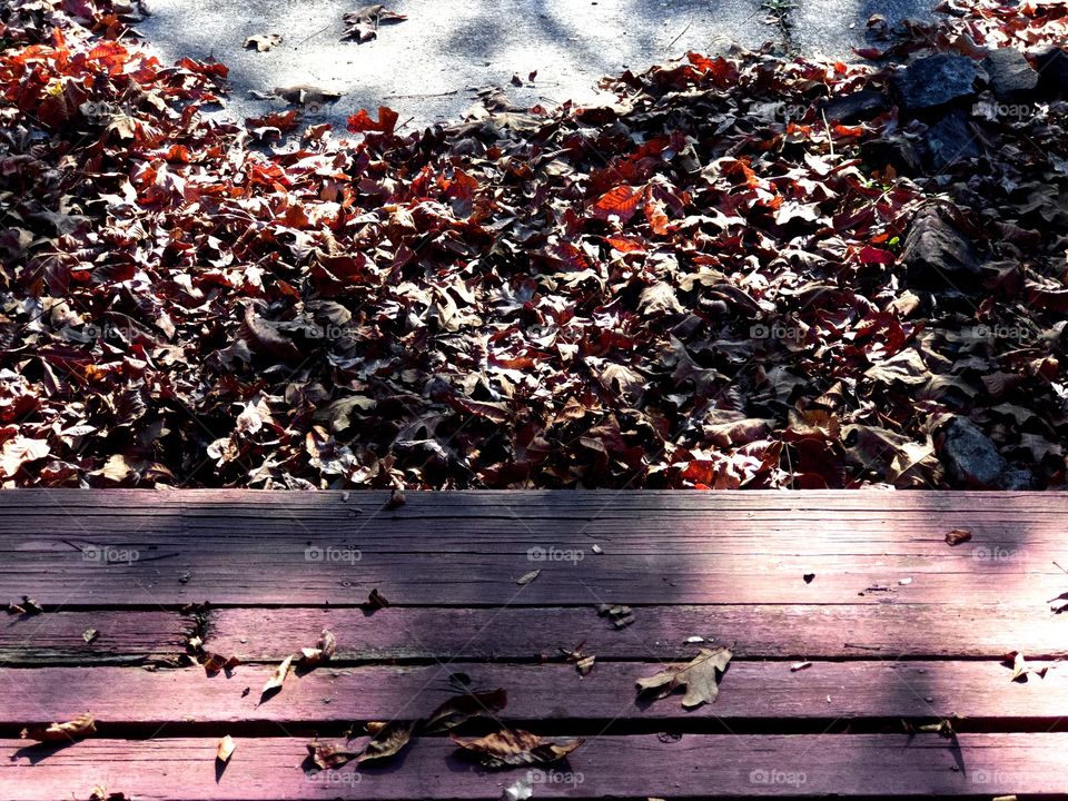Fallen red oak leaves blown against wooden porch step in dappled sunlight 