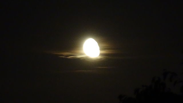 Moon