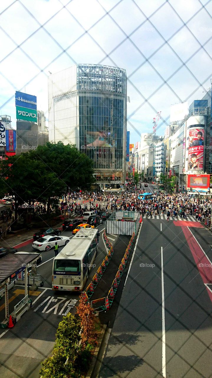 Shibuya crossing