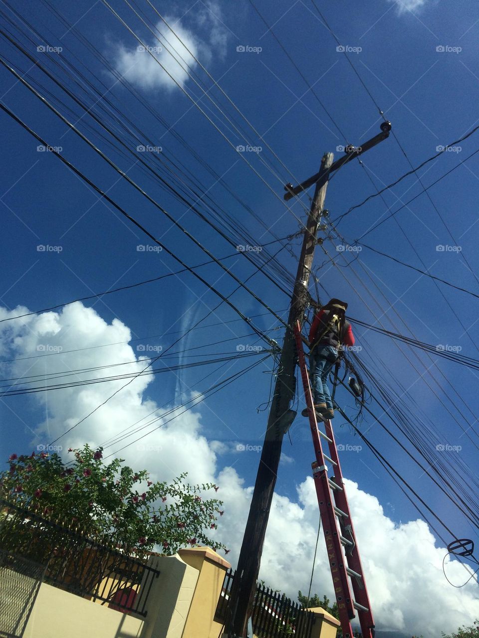 Up The Pole On A Ladder