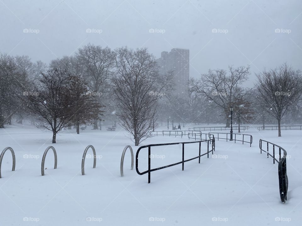 Winter snow storm