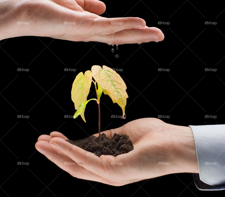 Sprout, Hand, Footprint, Carbon, Rehabilitation