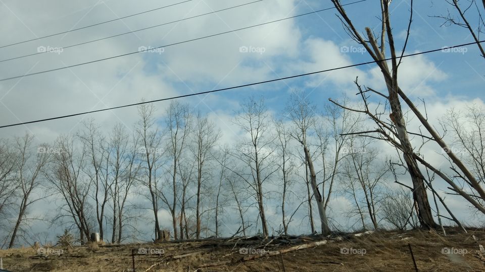 No Person, Nature, Landscape, Tree, Environment