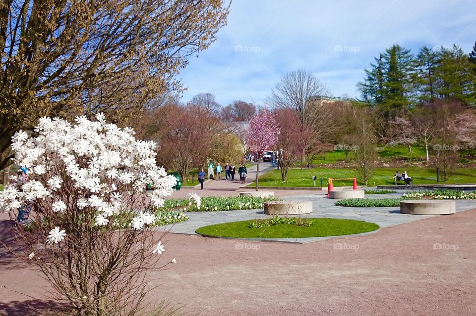 Botanic garden  in Gothenburg . Botanic garden in Gothenburg 