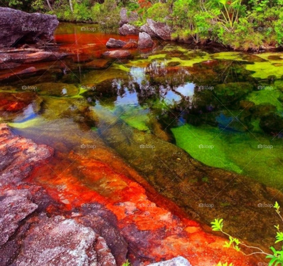 caño cristales
