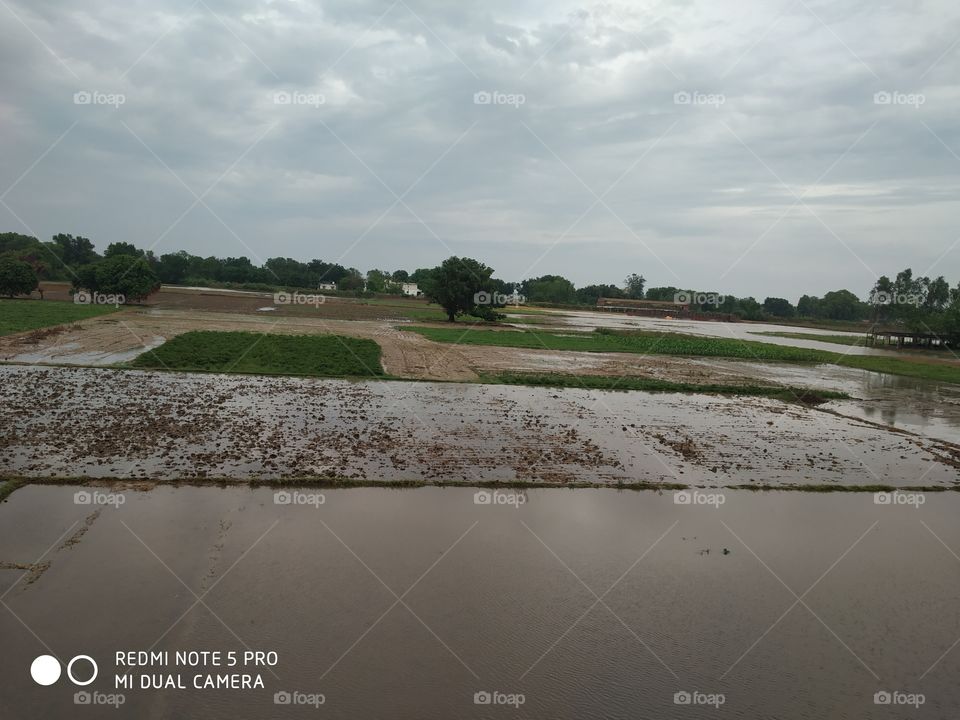 Rain😙😂😂😂😂😂