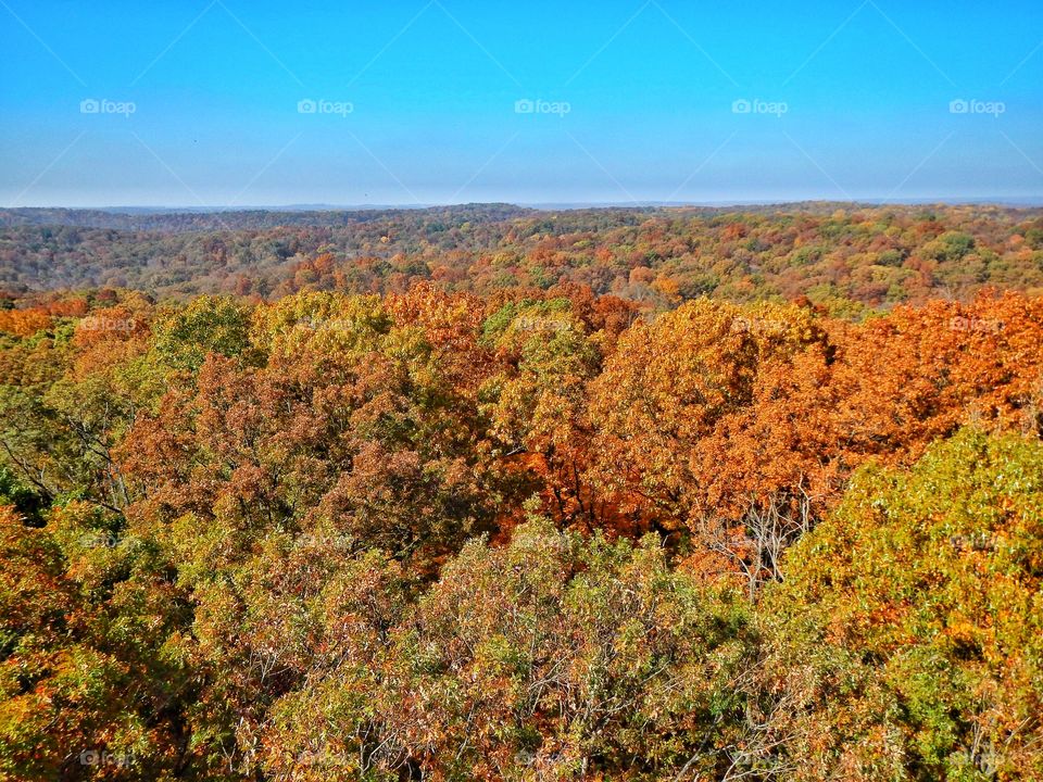 Fall beauty above the trees