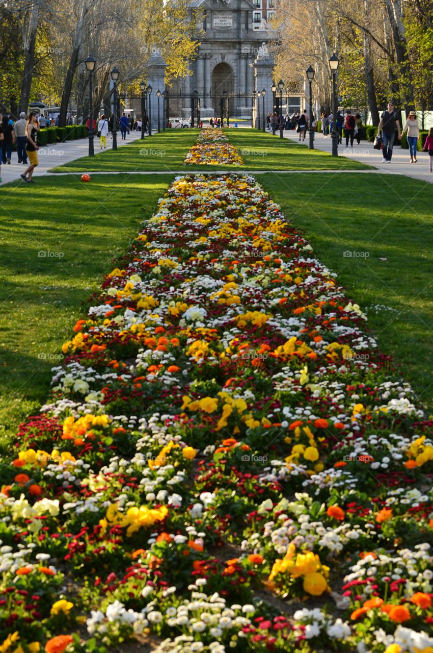 Enjoying spring at Buen Retiro Park, Madrid. People enjoying spring at Buen Retiro Park, Madrid