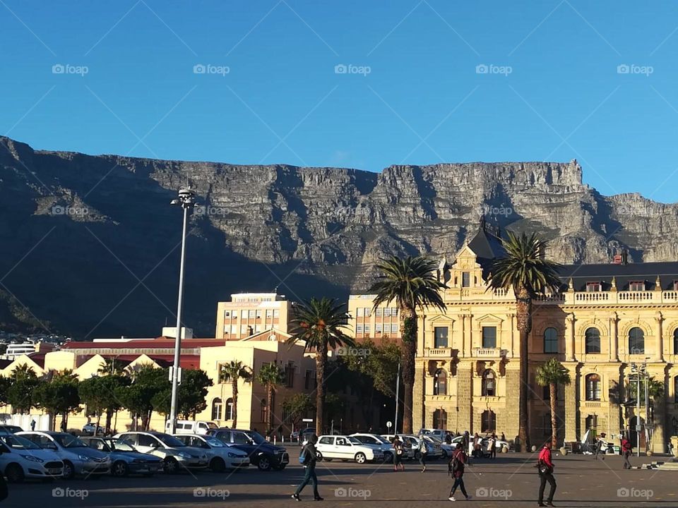 Table Mountain