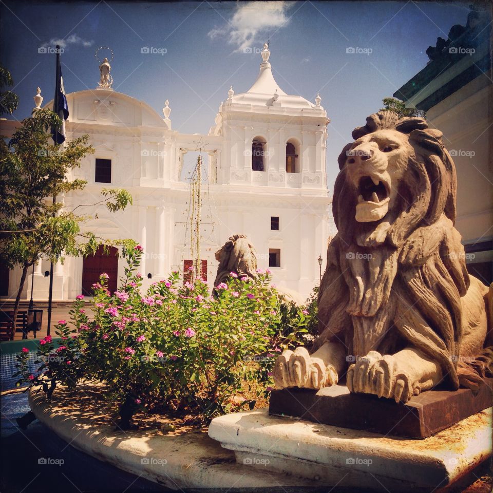 The lion is the namesake of the city of Leon, Nicaragua.