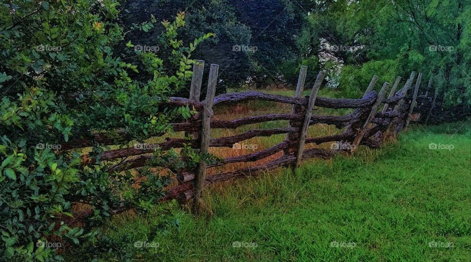 the fence
