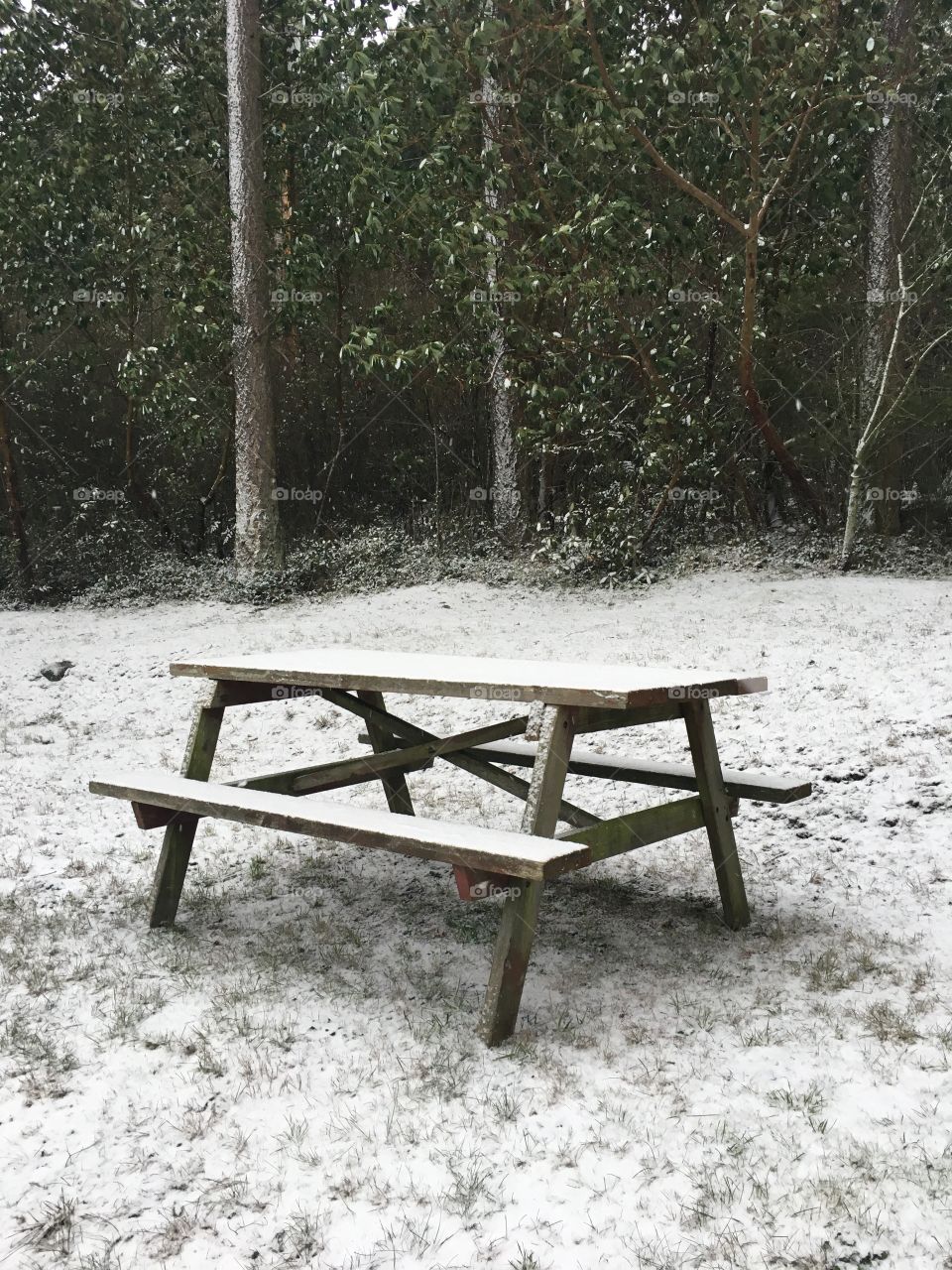 Empty picnic table in winter