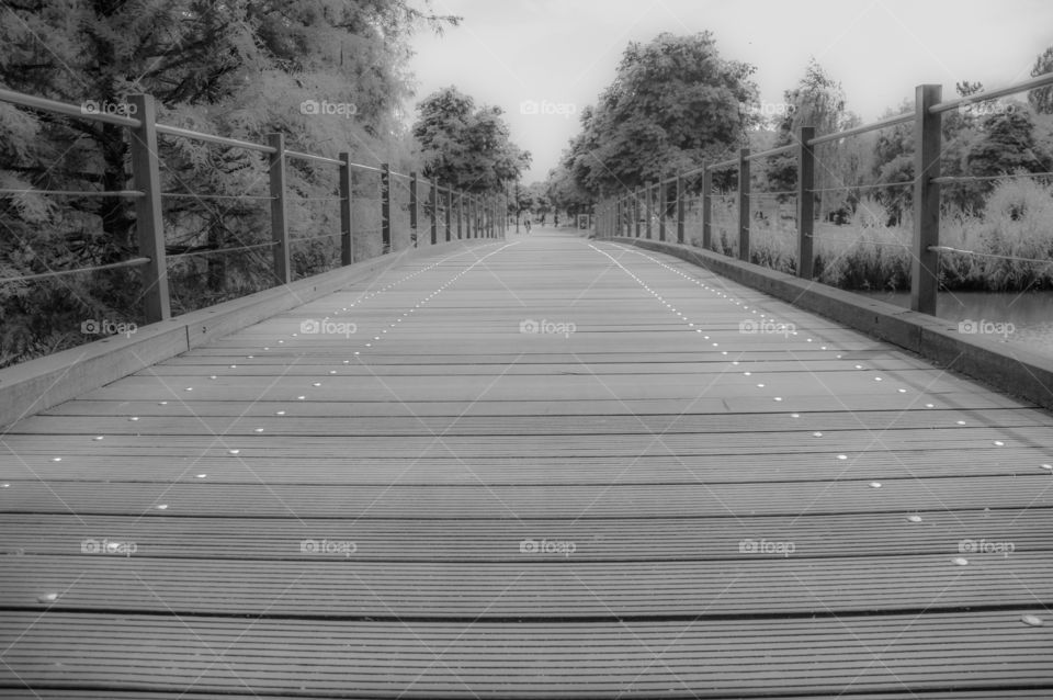 Black And White Photo Of A Footbridge