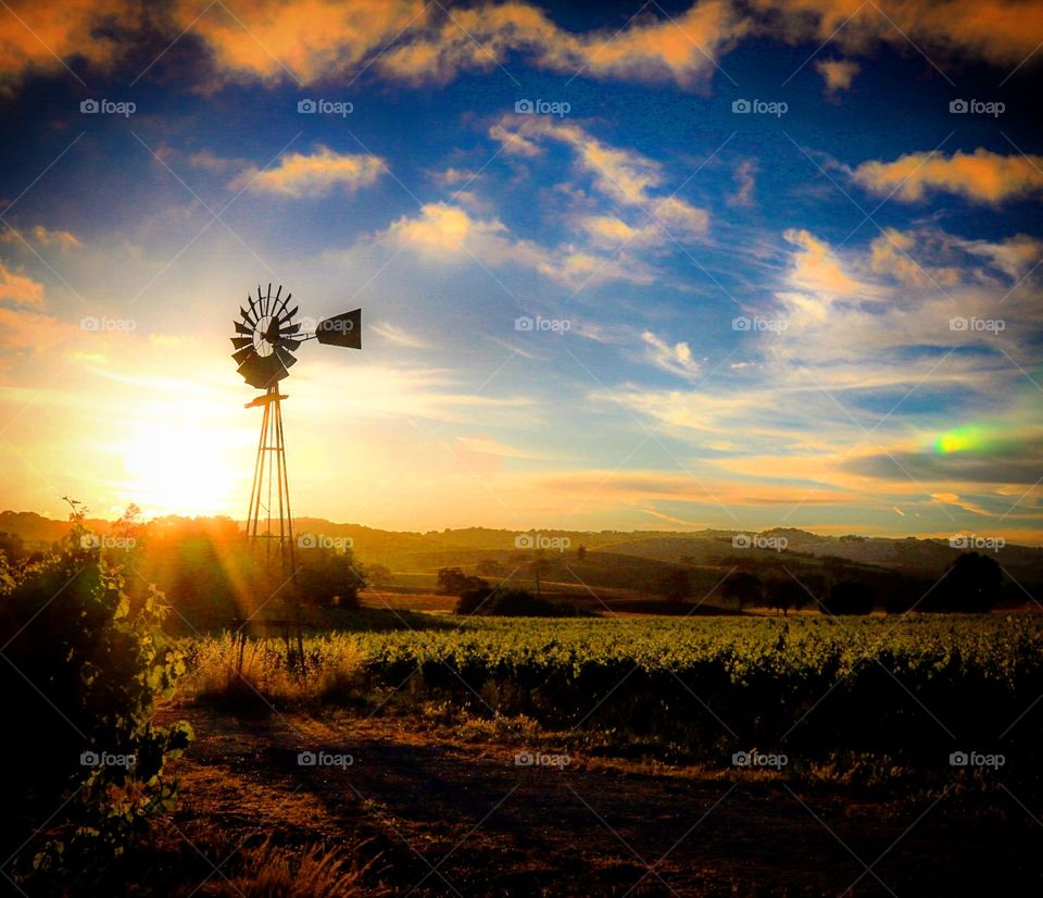 Sunset and windmill