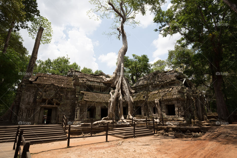 Ta Prohm temple in Siem reap Cambodia 