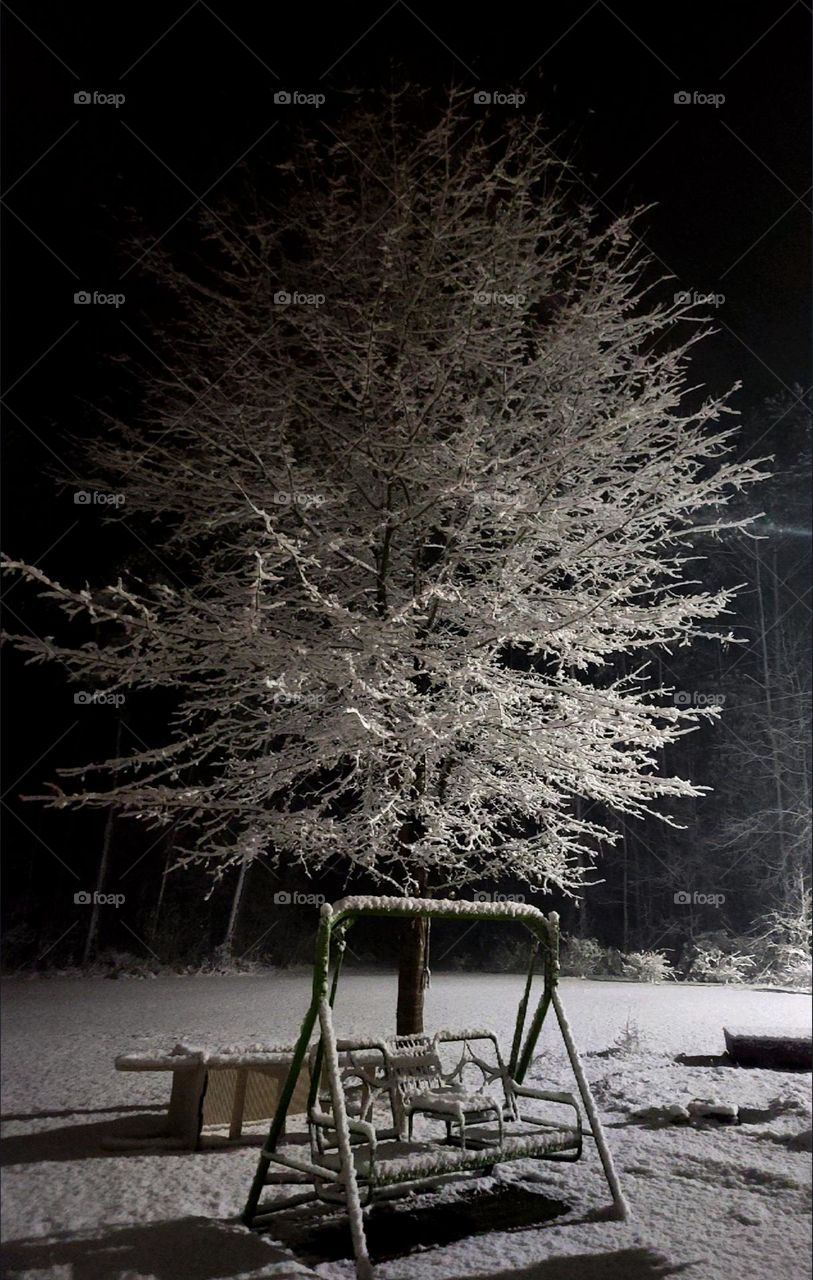 Crystal Tree * Árbol de cristal