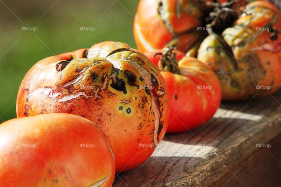 Tomatoes