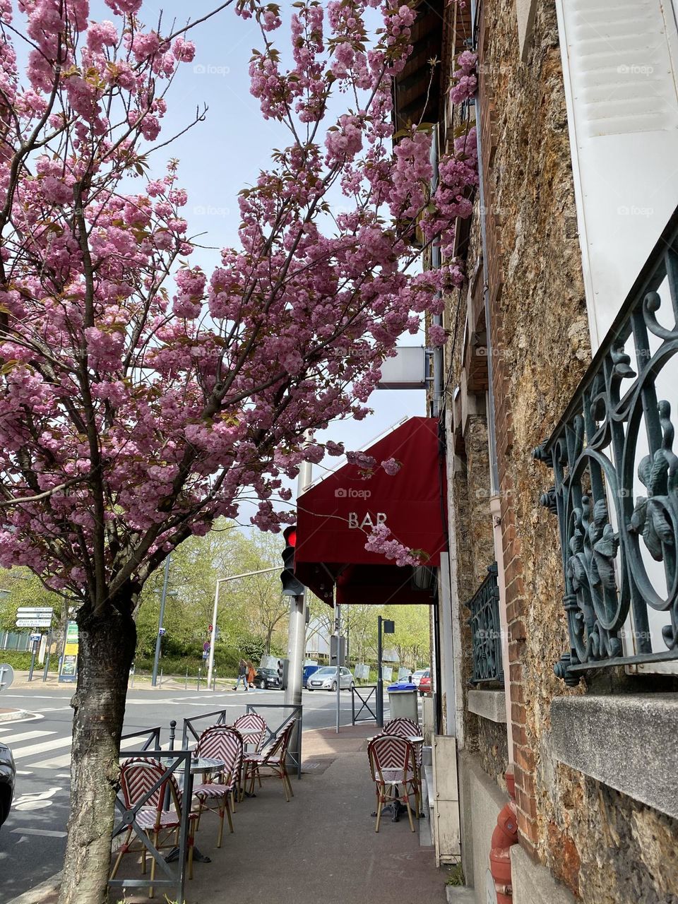 Cherry blossom tree in front of bar with red awning 