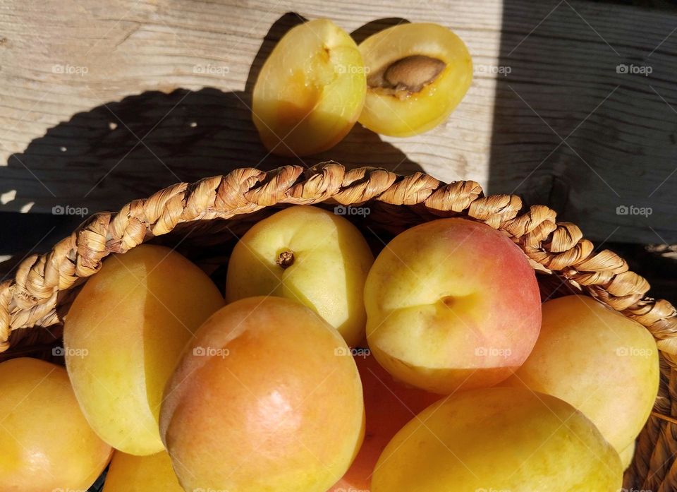 A frame of desirable beautiful apricots that their cheeks are light red from passion of the sun in a handmade wooden basket and play of the light and shadow .