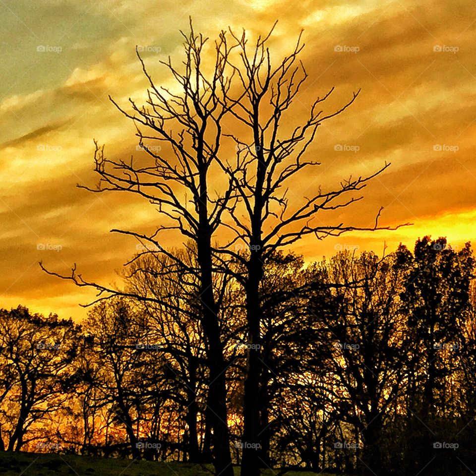 Beautiful sun set signaling a new stage during the day...