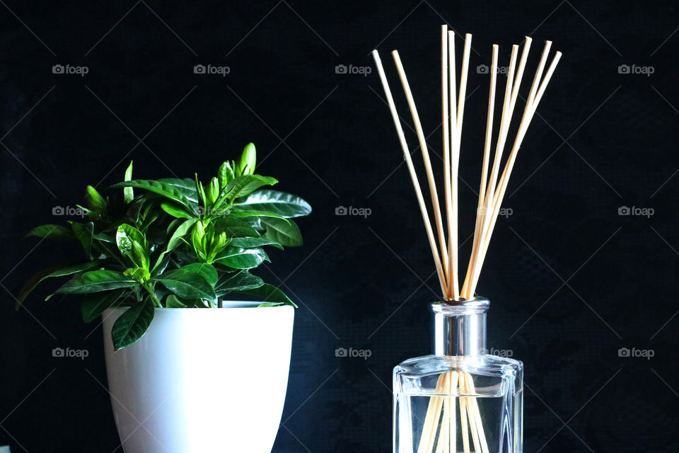 Potted plant and scented sticks
