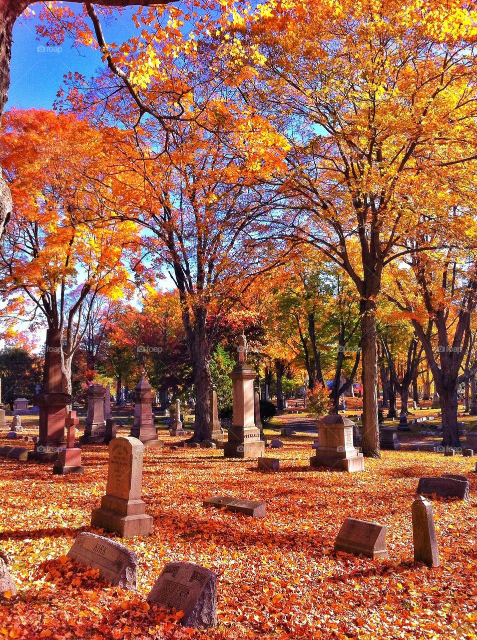 Mountain Grove Cemetery 