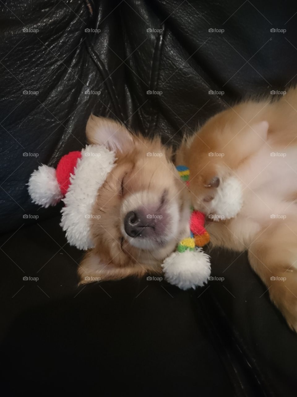 Santa will only come if you go straight to sleep!