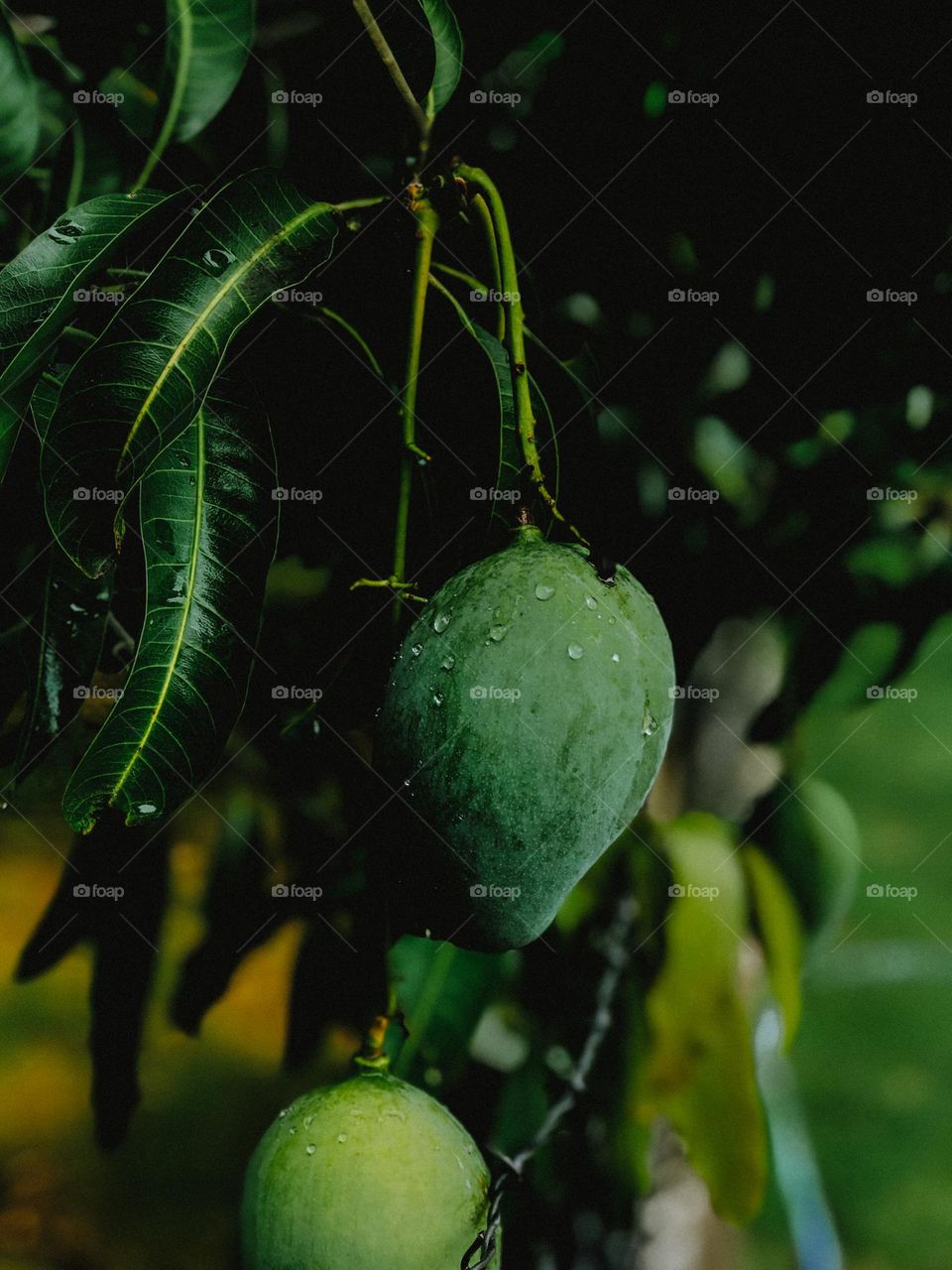 This isn’t natural pic i created water shadow 